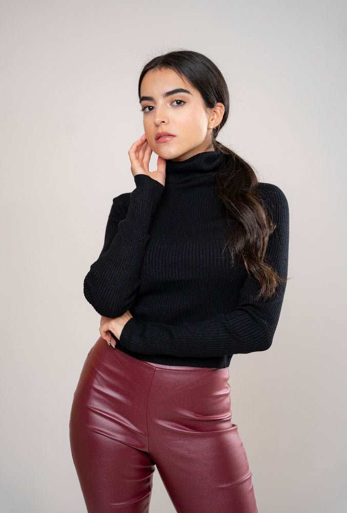 Turtleneck Sweater Top